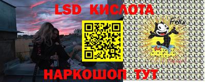 jwh Новозыбков