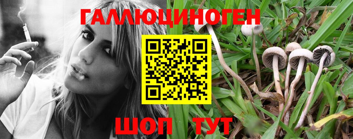 Псилоцибиновые грибы Psilocybe  Вход с VPN  Таганрог  Псилоцибиновые грибы Magic Shrooms 
